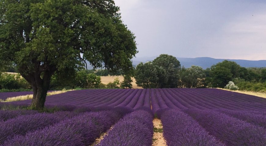 Provence Secrète