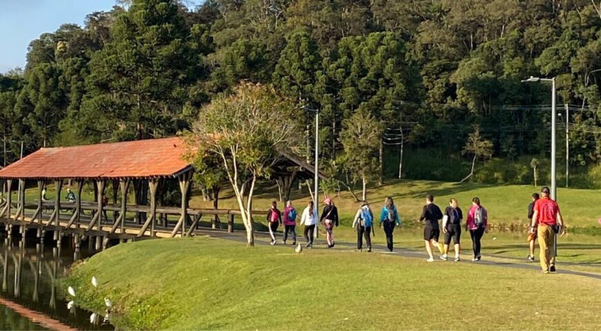 21 Dias Caminhando com Ana Wanke