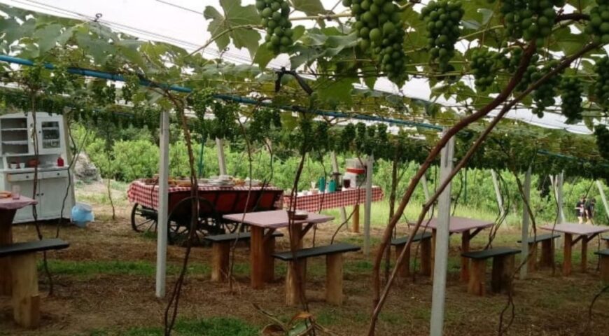 Colônia Ipiranga