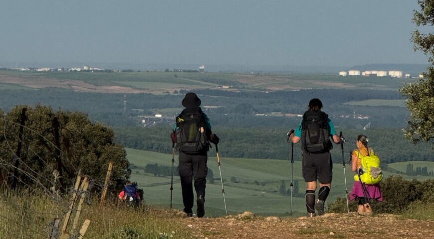 Petéquia de Esforço: Entenda a Púrpura do Viajante