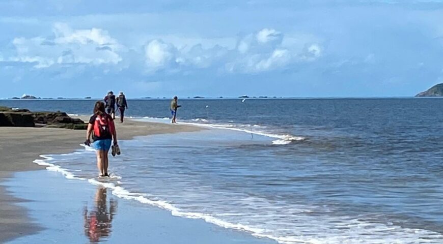 Ilha das Peças: Um Paraíso Natural Escondido no Litoral do Paraná