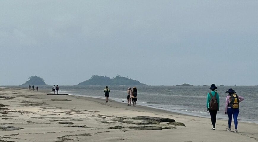 Travessia Ilha das Peças a Superagui 2026