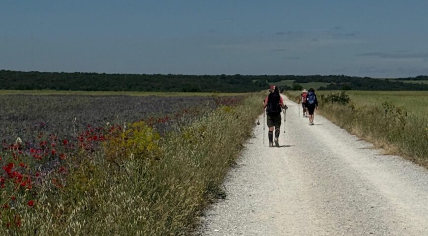 Peregrinação e Romaria: Entendendo a Jornada Sagrada