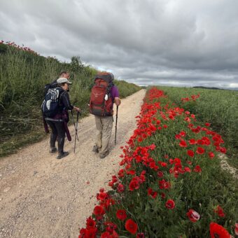 Desvendando o Mundo Outdoor
