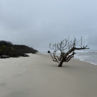 Canal do Varadouro e o Rio Ararapira: A erosão que está mudando o mapa do litoral sul