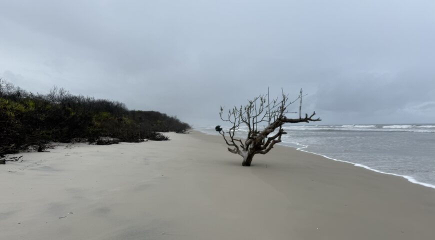 Canal do Varadouro e o Rio Ararapira: A erosão que está mudando o mapa do litoral sul